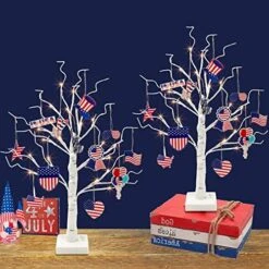 PEIDUO Artificial Tree For Table Decor, Battery Powered Tree Lights With Timer, Lighted Birch Tree With LED Lights For Home, Bedroom, Office, Living Room, Wedding Decor (2FT 24LT Warm White) -Artificial Trees Store 51gOlj5VX0L. AC