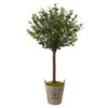 Nearly Natural 5960 4.5' Olive Topiary Tree With European Barrel Planter -Artificial Trees Store 51gSVMmv7cL