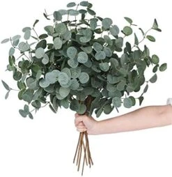 Miracliy Faux Eucalyptus Stems Artificial Eucalyptus Leaves Silk Silver Dollar Eucalyptus OliveBranches For Vases For Home Table Decor -Artificial Trees Store 51gk bJN6pL. AC