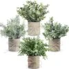 JC Nateva Small Fake Plants Mini Potted Artificial Plants Indoor For Home Office Farmhouse Kitchen Bathroom Table Decor -Artificial Trees Store 51h41j9i3SL