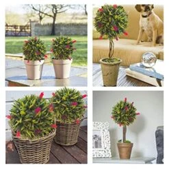 Coregreen 2PCS Artificial Lavender Topiary Ball 11inch Hanging Grass Ball Faux Lavender Flower Plant Indoor Outdoor Decor Home Lavender Party Decoration -Artificial Trees Store 51hDpll3GXL