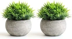 THE BLOOM TIMES 2 Pcs Fake Plants For Bathroom/Home Office Decor, Small Artificial Faux Greenery For House Decorations (Potted Plants) 11 THE BLOOM TIMES 2 Pcs Fake Plants For Bathroom/Home Office Decor, Small Artificial Faux Greenery For House Decorations (Potted Plants) -Artificial Trees Store 51haRc6l L. AC