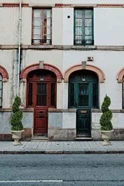 35 Inch/2.95 Ft Artificial Topiary Tree Outdoor Boxwood Spiral Topiary Trees Faux Topiary Trees, Artificial Topiaries Tree With Black Pot,Set Of 2 -Artificial Trees Store 51hc7Gr4kFL