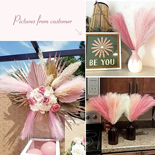 Serwalin Pampas Grass Pink 17.7 Inch 6pcs, Artificial Pampas Grass Faux Pink Pompas Grass Decor, Short Pompous Grass Blush Room Decoration, Wedding Centerpieces Mothers Day Pink Home Decor 8 Serwalin Pampas Grass Pink 17.7 Inch 6pcs, Artificial Pampas Grass Faux Pink Pompas Grass Decor, Short Pompous Grass Blush Room Decoration, Wedding Centerpieces Mothers Day Pink Home Decor - Image 6