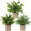 Briful Artificial Potted Plants Set Of 3 Small Faux Plant Eucalyptus Mini Fake Plant Decor For Home Table Office Room Desk Bathroom Shelf Kitchen Rustic Farmhouse Mantel Decoration -Artificial Trees Store 51hvlWAnfWS