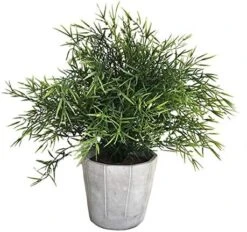 Cyrra Small Size Bathroom Living Room Laundry Room Guest Room Shop Table Shelf Decor Ideas Indoor Green Artificial Grass Shrub Plants 8 (High) X 4 (Pot Diameter Inch (Nandina S) 13 Cyrra Small Size Bathroom Living Room Laundry Room Guest Room Shop Table Shelf Decor Ideas Indoor Green Artificial Grass Shrub Plants 8 (High) X 4 (Pot Diameter Inch (Nandina S) -Artificial Trees Store 51hwLUY4wFL. AC