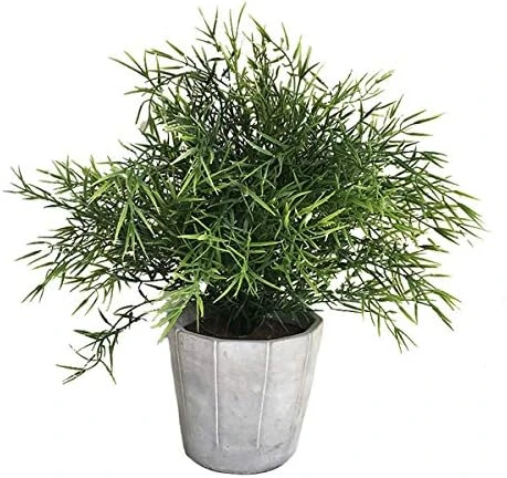 Cyrra Small Size Bathroom Living Room Laundry Room Guest Room Shop Table Shelf Decor Ideas Indoor Green Artificial Grass Shrub Plants 8 (High) X 4 (Pot Diameter Inch (Nandina S) 8 Cyrra Small Size Bathroom Living Room Laundry Room Guest Room Shop Table Shelf Decor Ideas Indoor Green Artificial Grass Shrub Plants 8 (High) X 4 (Pot Diameter Inch (Nandina S) - Image 6