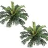 Two 25" Cycas Palm Artificial Tree Silk Plants, With No Pot, (Pack Of 2) -Artificial Trees Store 51iA5ey1rtL