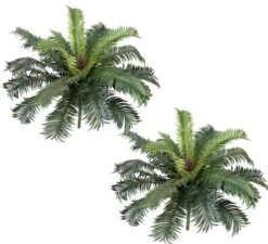 Two 25" Cycas Palm Artificial Tree Silk Plants, With No Pot, (Pack Of 2)