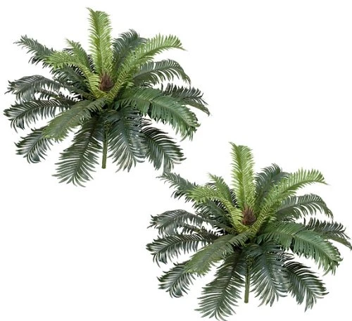 Two 25" Cycas Palm Artificial Tree Silk Plants, With No Pot, (Pack Of 2) 3 Two 25" Cycas Palm Artificial Tree Silk Plants, With No Pot, (Pack Of 2)