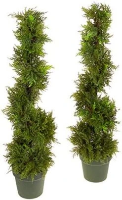 Admired By Nature Aritificial Double Ball,Shaped Boxwood Topiary In Plastic Pot, Green (GTR4634-NATURAL-2), 3ft -Artificial Trees Store 51iCJxHQnLL. AC