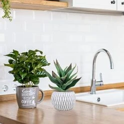 Set Of 3 Small Potted Succulent Plants Artificial Hanging Succulent Aloe In Gray Concrete Ceramic Pots With Geometry Textured For Party Favor Gift Windowsill Table Shelf Indoor Outdoor Greenery Decor -Artificial Trees Store 51iMJSUSwuL