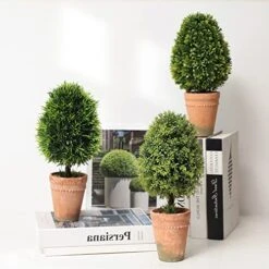 （3 Pack） Faux Small Topiary Tree In Stone Basin 13inchs Height Artificial Boxwood Tree Grass Potted Faux Plant For Home Office Table Desk Shelves Decor -Artificial Trees Store 51ilDUEMQ1L