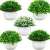 Summer Flower 5 Pack Mini Artificial Plants In Ceramics Pots For Bathroom Home Decor Indoor, 2 Fake Mini Plant Green Boxwood Potted,3 Grass Faux Plant In White Pot For Bookshelf Farmhouse Decorations -Artificial Trees Store 51iyfAIeNzL