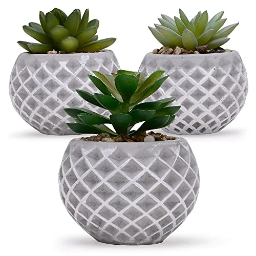 Succulent Decor, Fake Succulents, Succulent Wall Decor, Succulents Artificial Decor, Small Fake Plant, Succulent Decoration, Potted Plants, Set Of 3 Succulents 3 Succulent Decor, Fake Succulents, Succulent Wall Decor, Succulents Artificial Decor, Small Fake Plant, Succulent Decoration, Potted Plants, Set Of 3 Succulents
