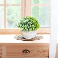 GENERIC 3 Bundle Pack Small Potted Artificial Fake Plastic Plants, Faux Desk Shrub Plants For Indoor Home Office Kitchen Bathroom Farmhouse CoffeeTable Room Decor 12 GENERIC 3 Bundle Pack Small Potted Artificial Fake Plastic Plants, Faux Desk Shrub Plants For Indoor Home Office Kitchen Bathroom Farmhouse CoffeeTable Room Decor -Artificial Trees Store 51jJLNhujJL