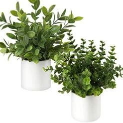 Briful Mini Fake Plants Set Of 2 Small Faux Plant Eucalyptus Rosemary Greenery Potted Plants Artificial Decor For Home Table Office Room Desk Bathroom Shelf Kitchen Farmhouse Mantel Decoration 20 Briful Mini Fake Plants Set Of 2 Small Faux Plant Eucalyptus Rosemary Greenery Potted Plants Artificial Decor For Home Table Office Room Desk Bathroom Shelf Kitchen Farmhouse Mantel Decoration -Artificial Trees Store 51jKRksoQ3L. AC
