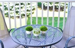 ELYSIANZE Mini Artificial Plants | Modern Farmhouse Plants Home Decor | Small Fake Plants | Office/Kitchen/Bathroom/Bedroom/Mantle/Shelf/Living Room/Table Decoration Faux Plant Set -Artificial Trees Store 51jOoYwoSYL