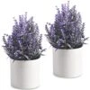 HomEdge Artificial Mini Potted Lavender, Artificial Plastic Plant Greenery With Pot For Home, Office Desk Decoration -Artificial Trees Store 51ji4T1fLjL
