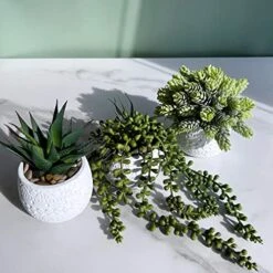 Winlyn 3 Pcs Assorted Small Potted Succulent Plants Artificial Aloe Hanging Succulent In White Geometric Concrete Ceramic Pots For Gift Party Wedding Favors Windowsill Table Shelf Indoor Outdoor Decor -Artificial Trees Store 51jrRZuvhRL