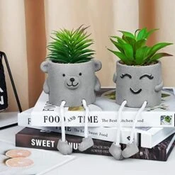 Natheeph 2 Pcs Succulents Plants Artificial Fake Plant Faux Succulents Hanging Leg With Cement Potted For Home Office Desk Bedroom Bookshelf Greenery Decoration (Smile & Bear) -Artificial Trees Store 51jynmWVc8L. AC