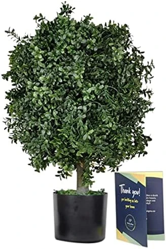 Tin Roof Interiors 24" Tall Artificial Boxwood Shrubs (2), Includes Galvanized Metal Pot, Outdoor Ready, Natural Looking Fake Potted Shrubs 15 Tin Roof Interiors 24" Tall Artificial Boxwood Shrubs (2), Includes Galvanized Metal Pot, Outdoor Ready, Natural Looking Fake Potted Shrubs - Image 13
