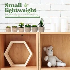 Sophia's Garden Small Artificial Succulents Plants Artificial Potted Fake Plant Decor Bedroom (6 Piece Faux Succulents In Pots 2.3") Fake Succulent Decor Fake Succulents Mini Succulents Desk Office 9 Sophia's Garden Small Artificial Succulents Plants Artificial Potted Fake Plant Decor Bedroom (6 Piece Faux Succulents In Pots 2.3") Fake Succulent Decor Fake Succulents Mini Succulents Desk Office -Artificial Trees Store 51kqxj3Dh1L