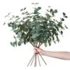 Miracliy 6 PCS Artificial Eucalyptus Leaves Greenery Stems Faux Silk Silver Dollar Eucalyptus Leaf Branches Green Bulk For Home Party Wedding Decoration -Artificial Trees Store 51ks4xuWonL