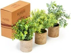 Kitzini Topiary Balls. 3 Fake Plants: Clipped Succulent, White & Purple Blossom. Realistic Artificial Plants For Home Decor Indoor. Gift Boxed. Premium Pot Set. 12 Kitzini Topiary Balls. 3 Fake Plants: Clipped Succulent, White & Purple Blossom. Realistic Artificial Plants For Home Decor Indoor. Gift Boxed. Premium Pot Set. -Artificial Trees Store 51kyGj5issL. AC