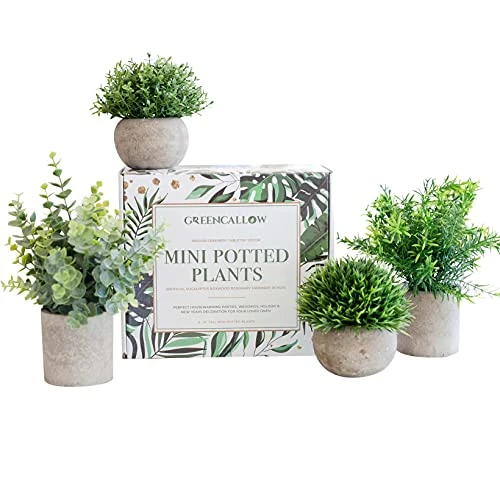 GreenCallow Artificial Plants For Home Decor Indoor. 4 Mini Plants, Rosemary Faux Plant Decor, Eucalyptus Plant, Grass Faux Plants. Small Fake Plants For Shelf Or Desk Plant Artificial Greenery Décor 3 GreenCallow Artificial Plants For Home Decor Indoor. 4 Mini Plants, Rosemary Faux Plant Decor, Eucalyptus Plant, Grass Faux Plants. Small Fake Plants For Shelf Or Desk Plant Artificial Greenery Décor