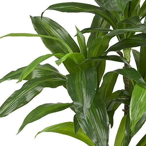 Nearly Natural 4' Spiked Agave Plant, Green & 43in. Dracaena Silk (Real Touch) Artificial Plant, Green 8 Nearly Natural 4' Spiked Agave Plant, Green & 43in. Dracaena Silk (Real Touch) Artificial Plant, Green - Image 6
