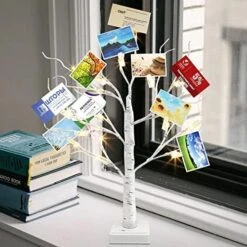 EAMBRITE Money Tree Gift Holder, Lighted Birch Tree 2FT 24LED, Battery/USB Powered Timer Light Up Display Twig Gift Card Tree With 12 Clear Clips And 6 Cards For Home Christmas Fathers Day Photo Memo -Artificial Trees Store 51lPlcs3IL. AC