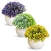 GENERIC 3 Bundle Pack Small Potted Artificial Fake Plastic Plants, Faux Desk Shrub Plants For Indoor Home Office Kitchen Bathroom Farmhouse CoffeeTable Room Decor 1 GENERIC 3 Bundle Pack Small Potted Artificial Fake Plastic Plants, Faux Desk Shrub Plants For Indoor Home Office Kitchen Bathroom Farmhouse CoffeeTable Room Decor -Artificial Trees Store 51lcHuOelJL