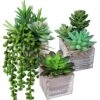Set Of 3 Small Potted Succulents Plants Decoration Assorted Green Fake Succulents Plants In Rustic Wooden Pots For Home Living Room Bathroom Table Shelf Centerpiece Windowsill Office Desk Indoor Decor 1 Set Of 3 Small Potted Succulents Plants Decoration Assorted Green Fake Succulents Plants In Rustic Wooden Pots For Home Living Room Bathroom Table Shelf Centerpiece Windowsill Office Desk Indoor Decor -Artificial Trees Store 51m1Vsb4gOL