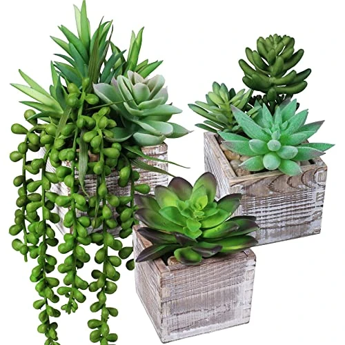 Set Of 3 Small Potted Succulents Plants Decoration Assorted Green Fake Succulents Plants In Rustic Wooden Pots For Home Living Room Bathroom Table Shelf Centerpiece Windowsill Office Desk Indoor Decor 3 Set Of 3 Small Potted Succulents Plants Decoration Assorted Green Fake Succulents Plants In Rustic Wooden Pots For Home Living Room Bathroom Table Shelf Centerpiece Windowsill Office Desk Indoor Decor