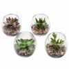 MyGift Assorted Artificial Succulent Fake Plant In Small Clear Glass Display Vases, Set Of 4 -Artificial Trees Store 51mYpcV7kJL