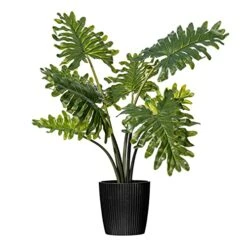 Vickerman Everyday Artificial Grand Philodendron Bush 25" Tall - Green Indoor Potted Philo Bush - Faux Decor For Home Or Office Greenery