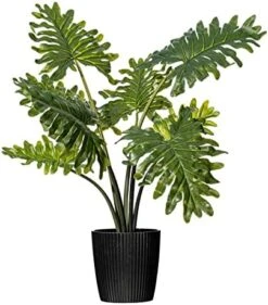 Vickerman Everyday Artificial Grand Philodendron Bush 25" Tall - Green Indoor Potted Philo Bush - Faux Decor For Home Or Office Greenery -Artificial Trees Store 51ms7NOXRDL. AC