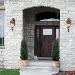 Binnny Flower 4ft Topiary Trees Artificial Outdoor 2 Pack Cedar Pine Faux Bushes And Shrubs Fake Potted Plants UV Rated 4 Feet For Front Porch Home Indoor Decor -Artificial Trees Store 51n2JOZC2VL