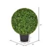 Vickerman Everyday 24 Inch Artificial Boxwood Topiary Ball - UV Resistant Indoor Outdoor - Potted Natural Green - Home Patio Tabletop Faux Bush Decoration -Artificial Trees Store 51n3TyHkigL