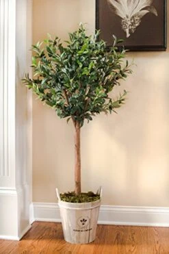Nearly Natural 5960 4.5' Olive Topiary Tree With European Barrel Planter -Artificial Trees Store 51nDvMkLzfL