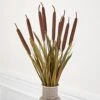 Factory Direct Craft Brown Artificial Cattails And Grass Bush For Fall Flower Arrangements And Autumn Displays (24" H) 2 Factory Direct Craft Brown Artificial Cattails And Grass Bush For Fall Flower Arrangements And Autumn Displays (24" H) -Artificial Trees Store 51nFiK4ph7L