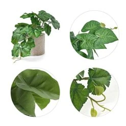 Mkono Faux Plants Indoor Small Fake Potted Rustic Artificial Plants For Home Decor 3 Pack Broad Leaved Faux Greenery With Gray Pot For Shelf Desk Farmhouse Bathroom Decor Coffee Table Centerpiece 6 Mkono Faux Plants Indoor Small Fake Potted Rustic Artificial Plants For Home Decor 3 Pack Broad Leaved Faux Greenery With Gray Pot For Shelf Desk Farmhouse Bathroom Decor Coffee Table Centerpiece -Artificial Trees Store 51nqkyvwN1L