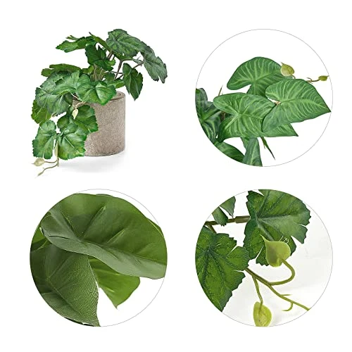 Mkono Faux Plants Indoor Small Fake Potted Rustic Artificial Plants For Home Decor 3 Pack Broad Leaved Faux Greenery With Gray Pot For Shelf Desk Farmhouse Bathroom Decor Coffee Table Centerpiece 4 Mkono Faux Plants Indoor Small Fake Potted Rustic Artificial Plants For Home Decor 3 Pack Broad Leaved Faux Greenery With Gray Pot For Shelf Desk Farmhouse Bathroom Decor Coffee Table Centerpiece - Image 2