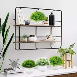 Summer Flower 5 Pack Mini Artificial Plants In Ceramics Pots For Bathroom Home Decor Indoor, 2 Fake Mini Plant Green Boxwood Potted,3 Grass Faux Plant In White Pot For Bookshelf Farmhouse Decorations -Artificial Trees Store 51o3aRnzmdL