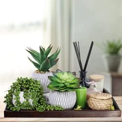 Set Of 3 Small Potted Succulent Plants Artificial Hanging Succulent Aloe In Gray Concrete Ceramic Pots With Geometry Textured For Party Favor Gift Windowsill Table Shelf Indoor Outdoor Greenery Decor -Artificial Trees Store 51oBWZMeTUL