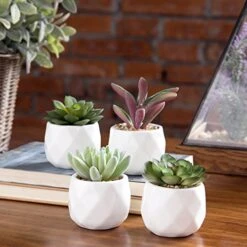 MyGift Miniature Artificial Succulents, Indoor Fake House Plants In Round White Geometric Ceramic Pots, Set Of 4 11 MyGift Miniature Artificial Succulents, Indoor Fake House Plants In Round White Geometric Ceramic Pots, Set Of 4 -Artificial Trees Store 51oCbCfdwaL