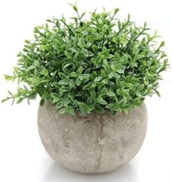 Velener Mini Sage Green Potted Boxwood Topiary Artificial Plants For Home Decor Indoor, Farmhouse House Plant Office Small Desk Shelf Apartment Coffee Bar Bathroom Decor Guest Room, Small Fake Plant 22 Velener Mini Sage Green Potted Boxwood Topiary Artificial Plants For Home Decor Indoor, Farmhouse House Plant Office Small Desk Shelf Apartment Coffee Bar Bathroom Decor Guest Room, Small Fake Plant -Artificial Trees Store 51oT6MweekL. AC 1
