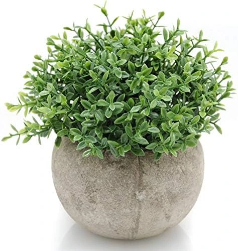 Velener Mini Sage Green Potted Boxwood Topiary Artificial Plants For Home Decor Indoor, Farmhouse House Plant Office Small Desk Shelf Apartment Coffee Bar Bathroom Decor Guest Room, Small Fake Plant 11 Velener Mini Sage Green Potted Boxwood Topiary Artificial Plants For Home Decor Indoor, Farmhouse House Plant Office Small Desk Shelf Apartment Coffee Bar Bathroom Decor Guest Room, Small Fake Plant - Image 9