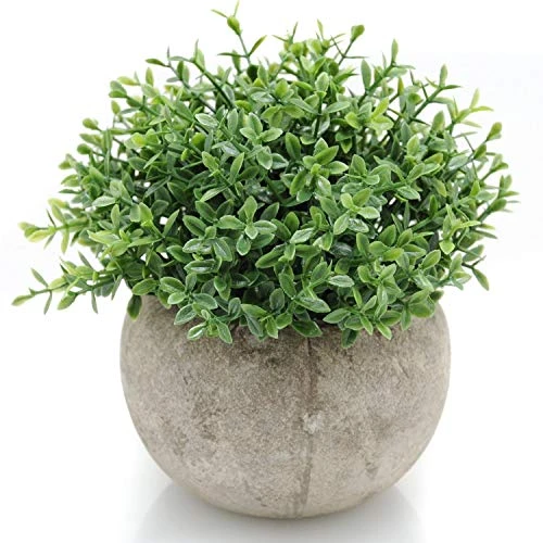Velener Mini Sage Green Potted Boxwood Topiary Artificial Plants For Home Decor Indoor, Farmhouse House Plant Office Small Desk Shelf Apartment Coffee Bar Bathroom Decor Guest Room, Small Fake Plant 3 Velener Mini Sage Green Potted Boxwood Topiary Artificial Plants For Home Decor Indoor, Farmhouse House Plant Office Small Desk Shelf Apartment Coffee Bar Bathroom Decor Guest Room, Small Fake Plant